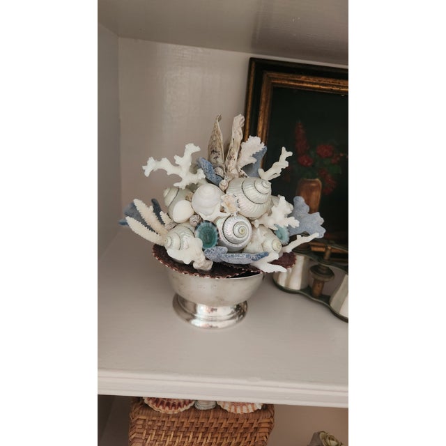 Handmade Coastal Seashell Sculpture – Seashell & Blue Ridge Coral Arrangement For Sale - Image 15 of 15