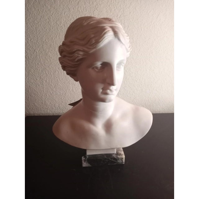 Antique White 1980s Santini Italy Genuine Carrara Marble Bust Sculpture For Sale - Image 8 of 8