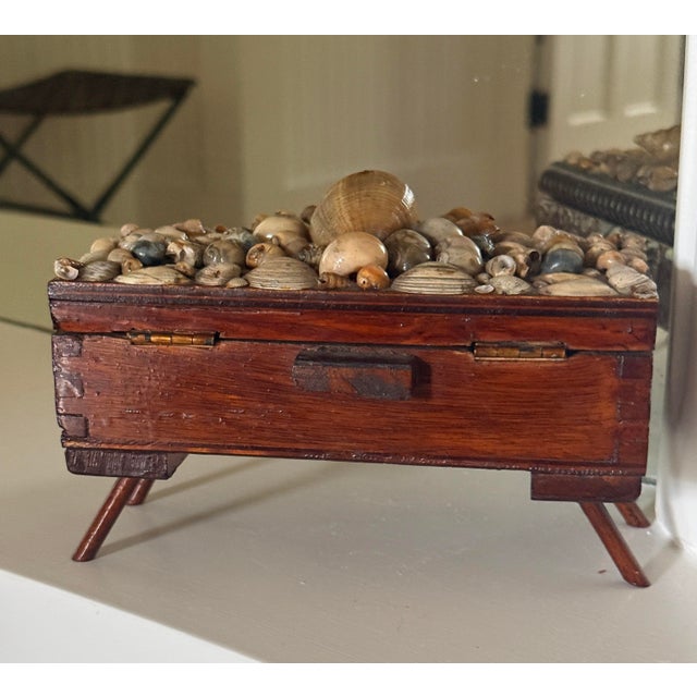 English Antique Shell Encrusted Carved Box For Sale - Image 3 of 12