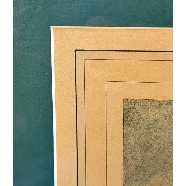 Antique Traditional Equestrian Fox Hunt "The Death" Framed Lithograph For Sale - Image 11 of 13