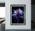 Color photograph of a purple and blue flower on black. Printed on 300gsm Archival Fine Art Paper.