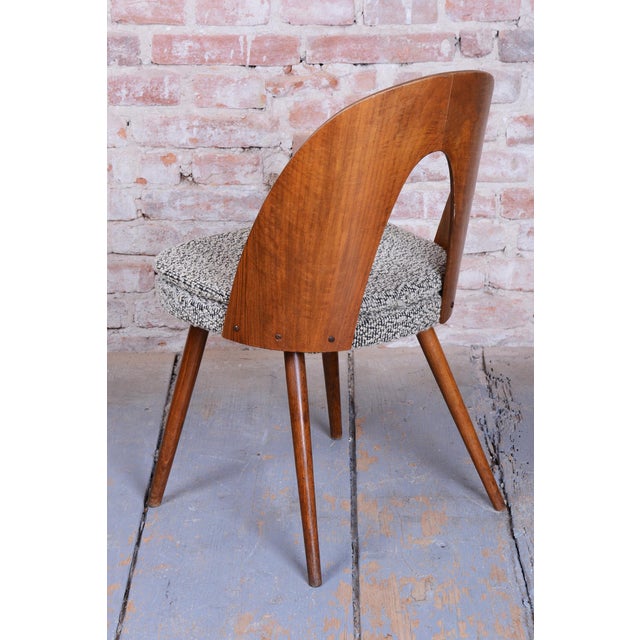 Brown Mid-Century Modern Chairs in Walnut by Antonín Šuman, 1950s, Set of 4 For Sale - Image 8 of 12