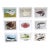 Vintage Charley Harper Modernist Abstracted Bird Lithographs (10.75" X 8.25") - Set of 9 For Sale