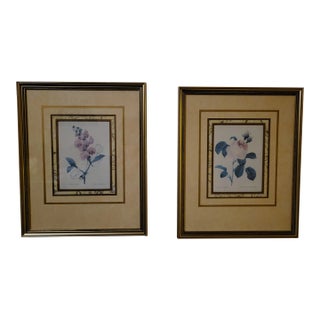 After Pier Joseph Redoute Pair of Framed Botanic Rose Prints For Sale