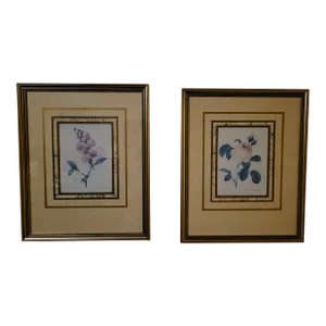 After Pier Joseph Redoute Pair of Framed Botanic Rose Prints