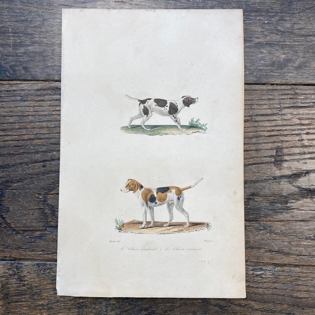 Super high quality in this lovely historical French 18th Century le chien couchant "the sleeping dog" engraving! Signed...