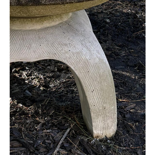 Mid 20th Century Mid-Century Cast Stone Birdbath For Sale - Image 5 of 7