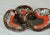 Red and Brown Hors d'oeuvre from Vallauris, 1960s For Sale - Image 9 of 11