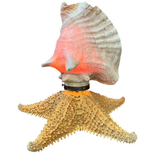 Shell Vintage Natural Conch Shell & Starfish Coastal Table Lamps - a Pair For Sale - Image 7 of 18
