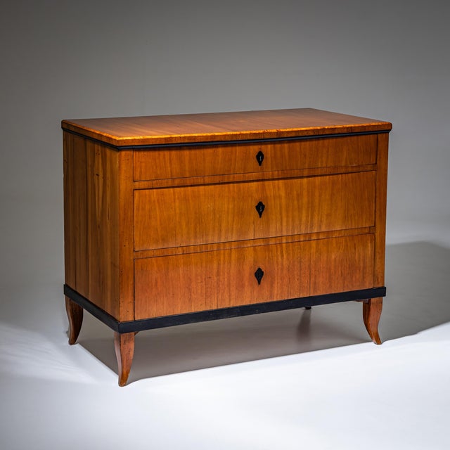 Biedermeier Chest of Drawers, Southern Germany, 1820 For Sale - Image 10 of 10