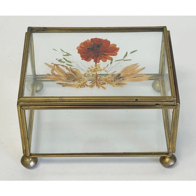 Vintage Pressed Flower Glass and Brass Lidded Display Box For Sale - Image 4 of 7