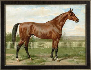 English Fullbread Horse by Eerelman Framed in Italian Wood Vener Moulding