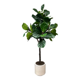 Faux Fiddle Leaf Fig Tree + White Planter For Sale