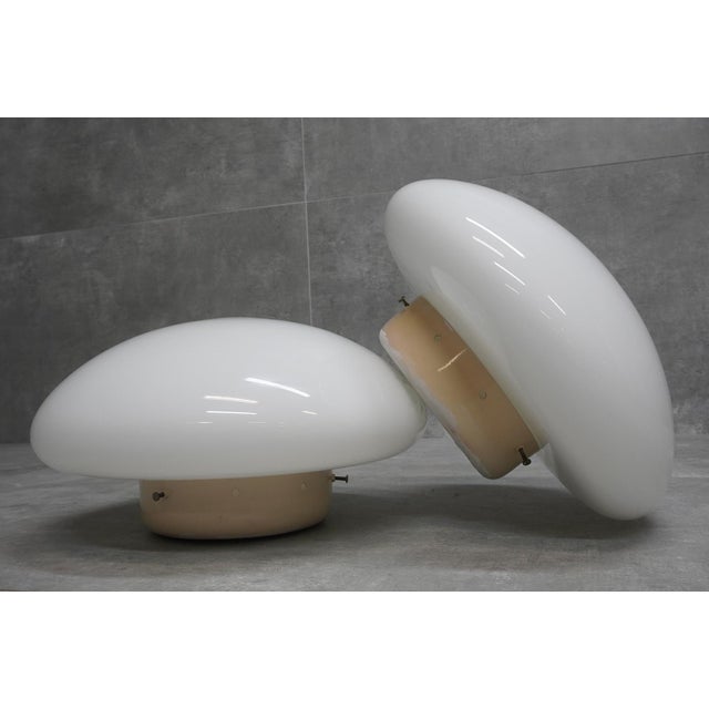 Magnolia Lamps by Sergio Mazza for Quattrifolio, Italy, 1971, Set of 2, in Very Good conditions. Designed 1970 to 1979 I...