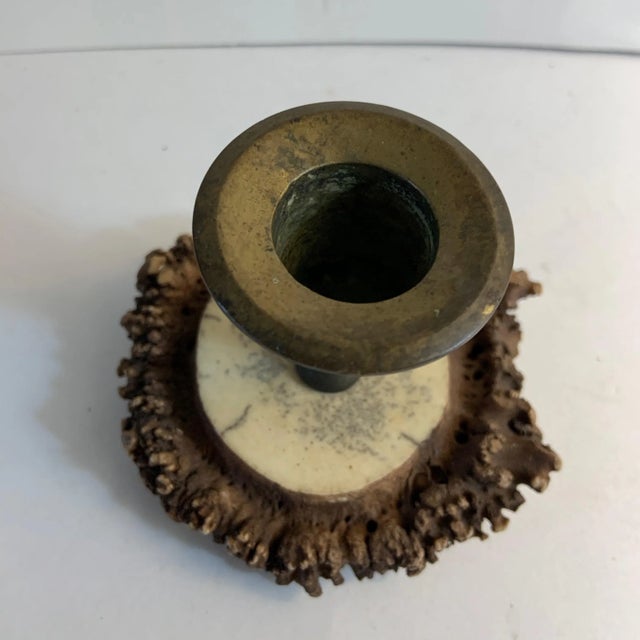 Gothic Antique 1910s Horn Antler Candleholder For Sale - Image 3 of 6