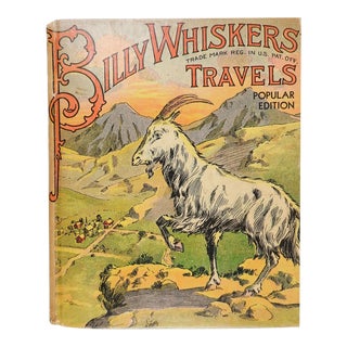Antique 1907 Billy Whisker's Travels Childrens Book For Sale
