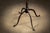 Metal Early 20th Century Cast Iron Coat Tree For Sale - Image 7 of 7