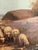 Framed Dutch Oil on Canvas "Sheep in the Field", Late 19th Century For Sale In Savannah - Image 6 of 8