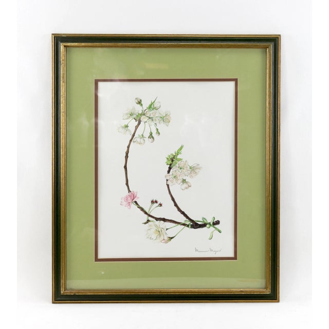 Vintage Hand-Painted Plant Specimen Watercolor Cherry Blossom Specimen (With Frame). Signed in the Lower Right Corner For Sale - Image 10 of 10