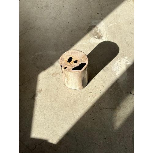 Side Table in White Petrified Wood with Black Spots For Sale - Image 14 of 18