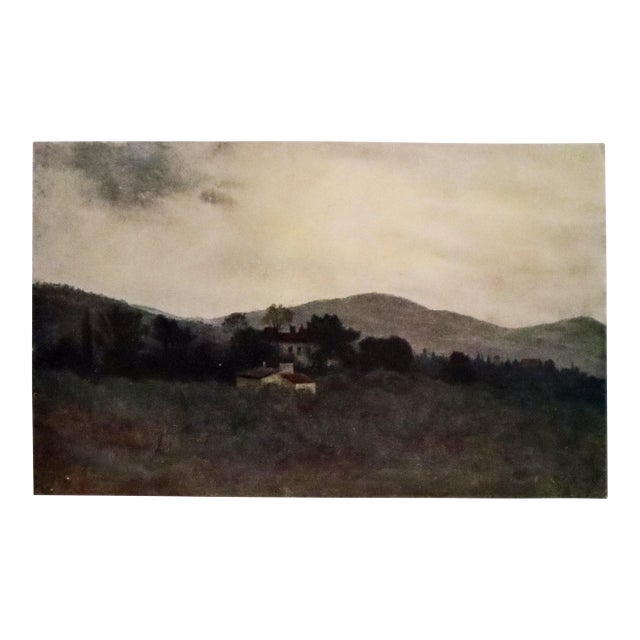 1905 Italian Original Print - Study of Tuscan Olive Gardens - From Book Florence & Some Tuscan Cities (1905) For Sale