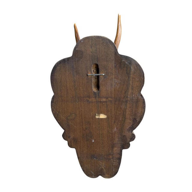 1960s Roe Deer Trophy Ds26 Black Foret Antlers Mount For Sale - Image 5 of 5