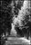 Paul Cooklin, Treeline, Edition of 50 For Sale - Image 6 of 6