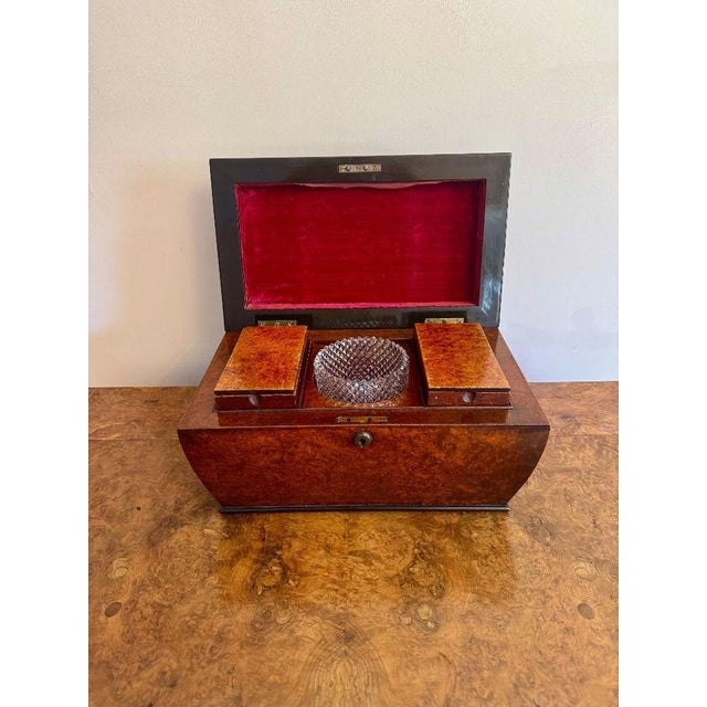 Brown Antique Regency Burr Walnut Tea Caddy, 1810 For Sale - Image 8 of 10