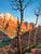 Burnt Orange Red Rock Vista Origenal Oil Painting by Steve Schaaf For Sale - Image 8 of 9