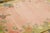 This 5x5 Chinese Art Deco square rug, hand-knotted in wool features a softly faded pink field framed by an olive green...