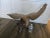 This vintage Brass Eagle sculpture features a 34" wingspan, showcasing a beautifully crafted piece of handmade art. The...