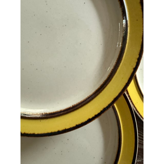 Vintage Rainbow Stoneware Citron 10.5 Inch Dinner Plates Yellow Brown Japan - Set of 5 For Sale - Image 10 of 10