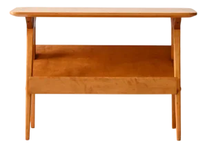 Vintage Scandinavian Coffee Table with Birch Display Stand, 1960s