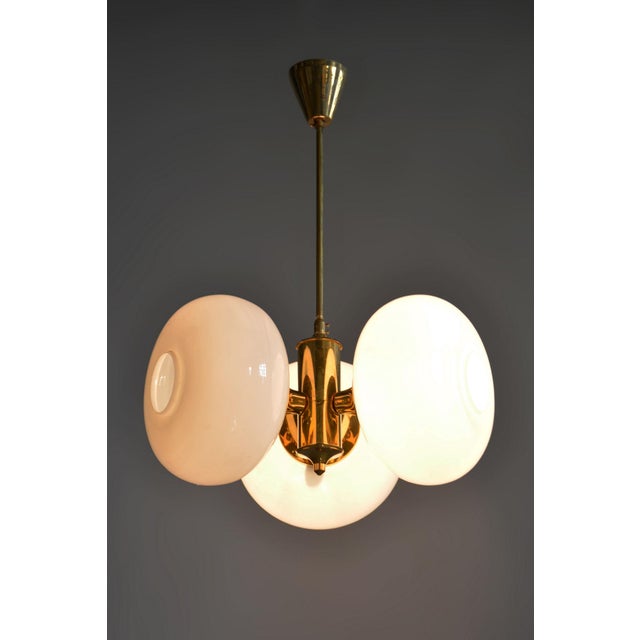 Mid-Century Chandelier in Brass and Glass by Kamenický Šenov, Czech, 1960s For Sale - Image 11 of 12