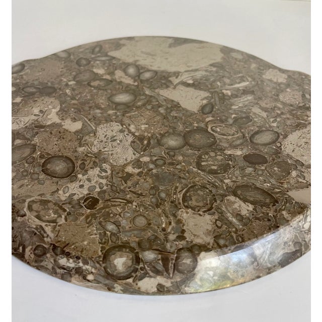 Mid 20th Century Natural Fossilized Stone Serving Display Tray For Sale In Los Angeles - Image 6 of 7