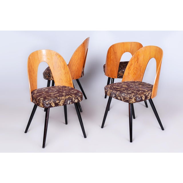 Mid-Century Chairs in Beech & Oak, Slovakia, 1959, Set of 4 For Sale - Image 11 of 12