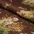2020s SAMPLE - Schumacher Dog & Duck Fabric In Brown For Sale - Image 5 of 5