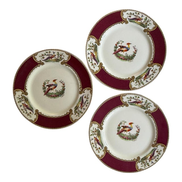 1950s Myott Chelsea Bird Dinner Plates 10 5/8” Burgundy Transferware England - Set of Three (3) For Sale
