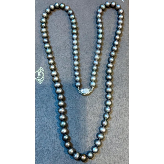 Fresh Black Water Round Pearl Single Strand Necklace, Opera Length, Silver Clasp For Sale In New York - Image 6 of 18