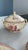 Red Ironstone Tureen with Honeysuckle Pattern from Gien Factory, 1890s For Sale - Image 6 of 13