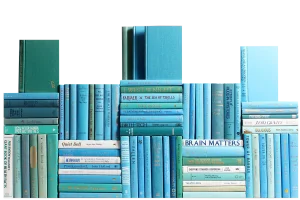 Decorative Books - Ocean Book Wall - Set of 75 Blue Books