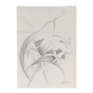 Abstracted Floral Study 20th Century Graphite