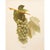 1900s U. P. Hedrick, Original Antique Photogravure of Kensington Grapes For Sale