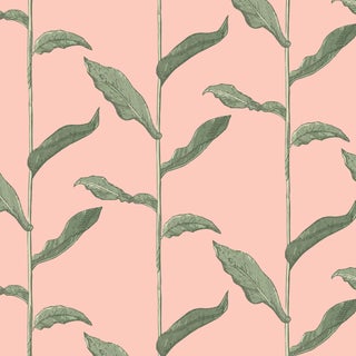 Mitchell Black Home Stalks Coral Prepasted Wallpaper For Sale