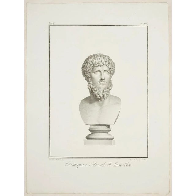“testa quasi colossale di lucio vero” (almost colossal head of lucio vero) is a wonderful black and white etching on...