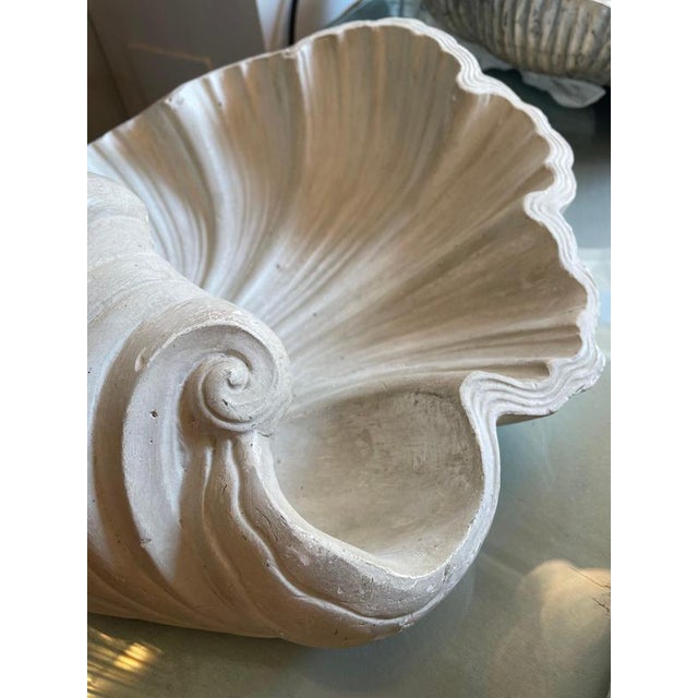 Plaster Shell Wall Lamp, 1950s For Sale - Image 6 of 13