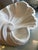 Plaster Shell Wall Lamp, 1950s For Sale - Image 6 of 13