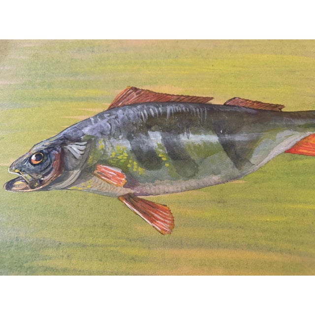 Carl-Axel Acking Carl H. Berberich, Swimming Perch in Green Water, 1916, Oil Painting on Canvas For Sale - Image 4 of 11