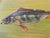 Carl-Axel Acking Carl H. Berberich, Swimming Perch in Green Water, 1916, Oil Painting on Canvas For Sale - Image 4 of 11