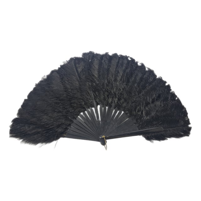 Art Deco Polish Autriche Feather Fan, 1920s For Sale